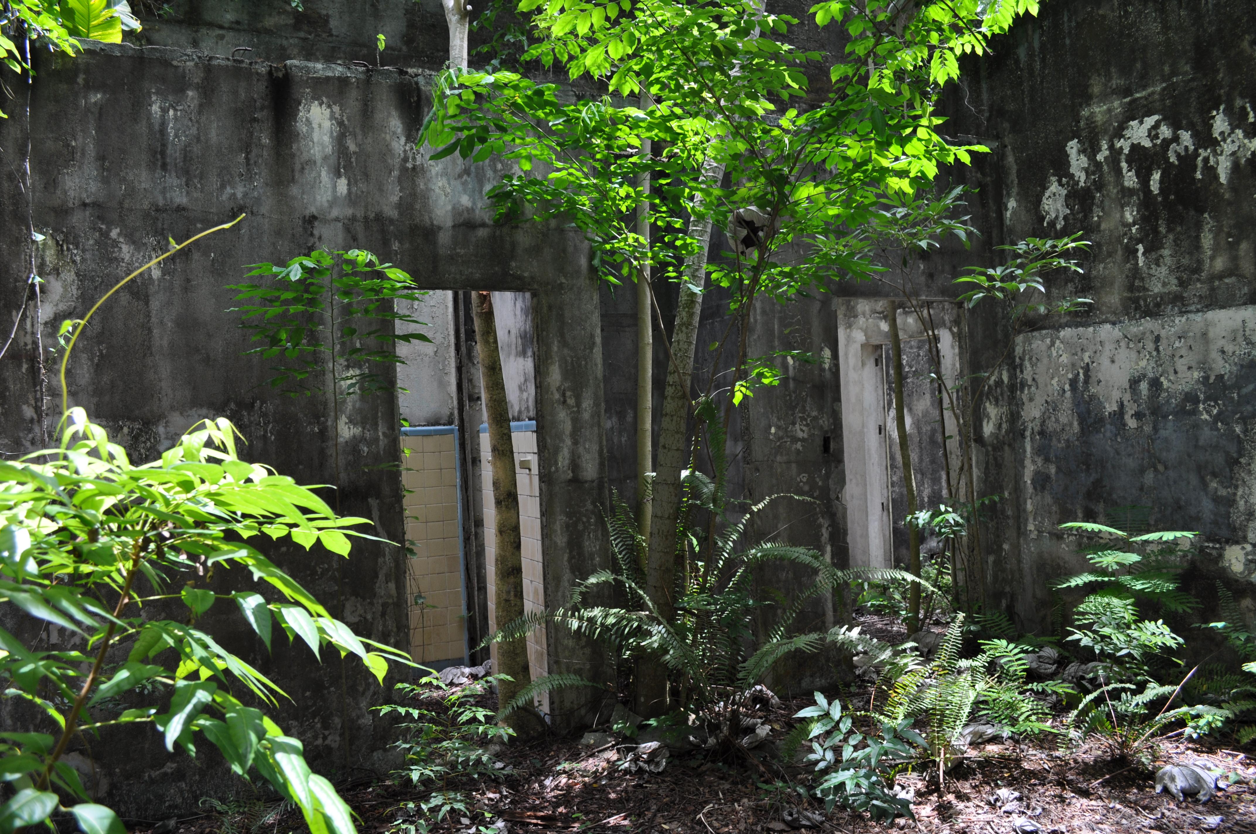 Antigua Lechería y Residencia de la Facultad de la Universidad de Puerto Rico - San Juan (Río Piedras) - 2014 00027